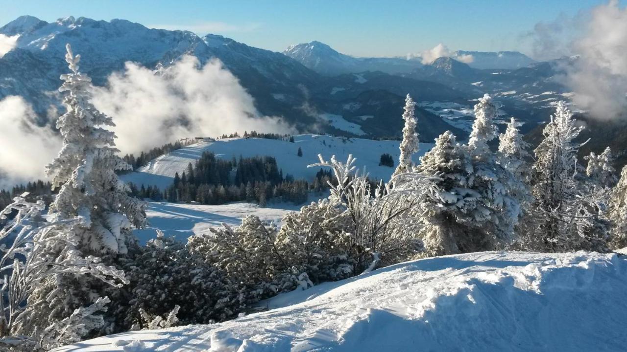 Отель Fesengut Аннаберг-им-Ламмерталь Экстерьер фото