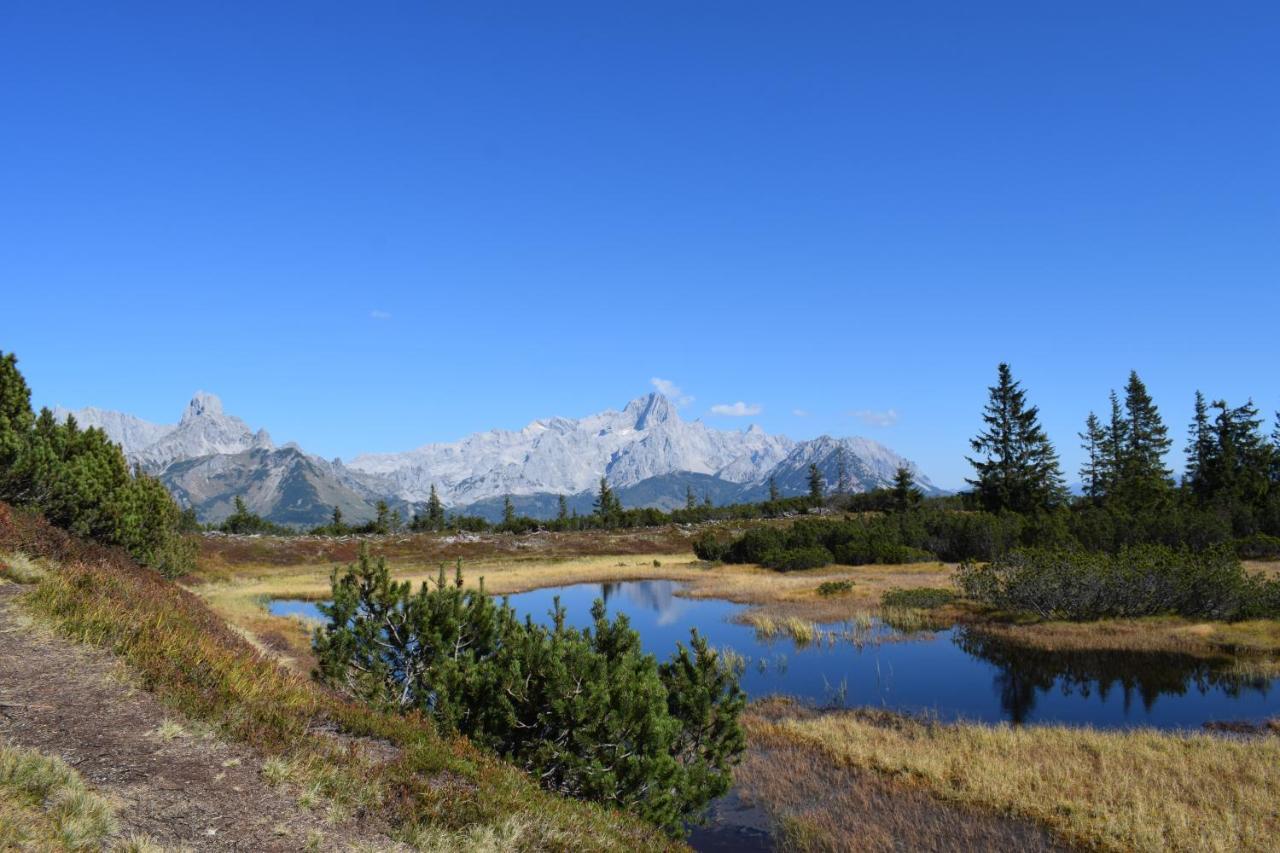 Отель Fesengut Аннаберг-им-Ламмерталь Экстерьер фото