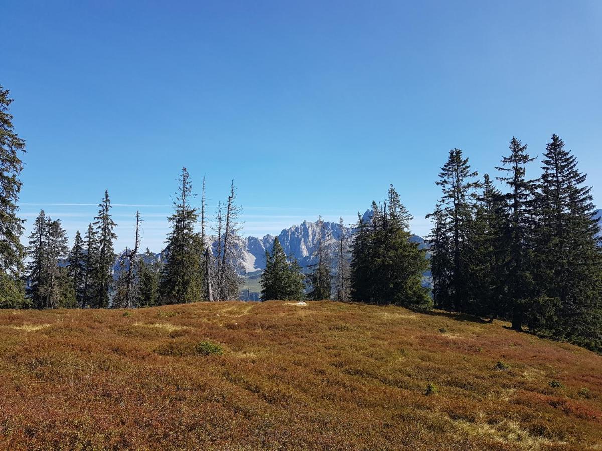 Отель Fesengut Аннаберг-им-Ламмерталь Экстерьер фото